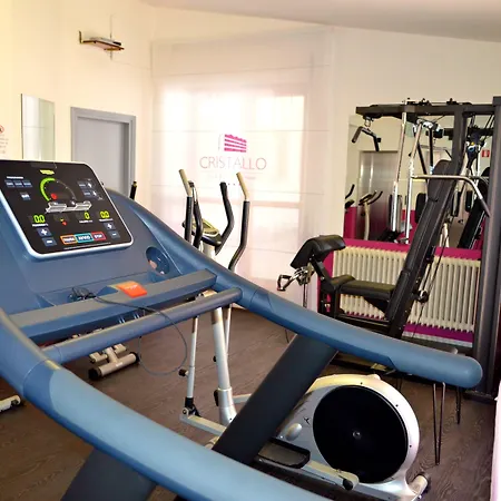 Cristallo Wellness Hotel 4*